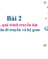 (PPT) Bài 2. Gene, quá trình truyền đạt thông tin di truyền và hệ gene - P2.pptx