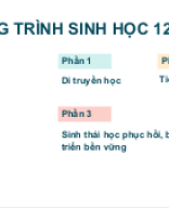 (PPT) Bài 1. DNA và cơ chế tái bản DNA - P2.pptx