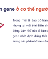 (PPT) Bài 3. Điều hòa biểu hiện gene.pptx