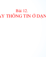 BAI12_TRINH BAY THONG TIN O DANG BANG.pptx