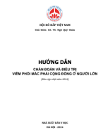 Hội Hô hấp Việt Nam 2024 - Hướng dẫn chẩn đoán và điều trị viêm phổi mắc phải cộng đồng ở người lớn.pdf