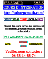 °COURS INTEGRATION FSA AGADIR PPT SMA5.pdf