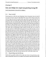 chương 17 các can thiệp tại giường.pdf