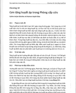 chương 10 cơn tắc huyết áp.pdf