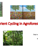 Nutrient cycling in Agroforestry-CAFRI.pdf