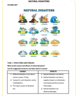 LESSON 22 - Natural disasters.pdf