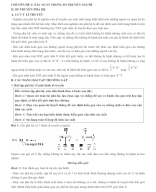 CHUYÊN ĐỀ 4 - II. DI TRUYỀN PHẢ HỆ.doc