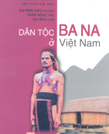 B 308.5_Dân Tộc Ban Na Ở Việt Nam - Bùi Minh Đạo, 361 Trang.pdf