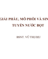 Tuyến nước bọt.pptx