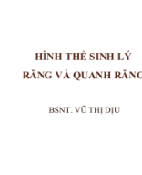 Hình thể sinh lý R và QR, TBL.pptx