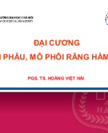 Đại cương Giải phẫu Mô phôi RHM 8.2021.ppt