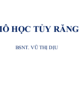 MÔ HỌC TỦY RĂNG 2.pptx