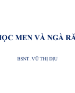 MÔ HỌC MEN VÀ NGÀ RĂNG 2.pptx