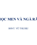 MÔ HỌC MEN VÀ NGÀ RĂNG 1.pptx