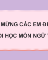 Bài 3. Tiet..._Thuc hanh tieng viet. Pho tu, so tu_CD.pptx