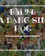 Bài 24. DA DANG SINH HOC.pptx