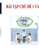 Bài tập chủ đề 1 và 2.pptx