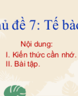 Bài tập chủ đề 7.pptx