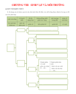 2. GV - CHƯƠNG 8.docx