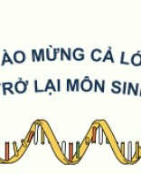 PPT_KHTN9_SinhHoc_KNTT_ Bài 39. Tái bản DNA và phiên mã tạo RNA.pdf