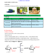 Bài 3 Giới thiệu về carbohydrate.pdf