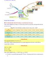 Bài 14 Tính chất hoá học của kim loại.pdf