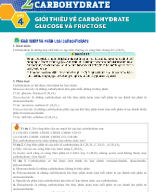 Bài 4. Glucose và fructose - HS.docx