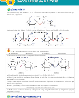 Bài 5. Saccharose và maltose - HS.docx