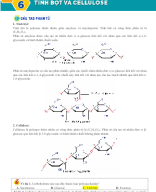 Bài 6. Tinh bột và cellulose - GV.docx