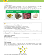 Bài 7. Sulfur và sulfur dioxide - HS.docx