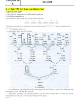 CHUYÊN ĐỀ 4. GLUXIT.doc