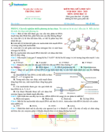 Giữa kì 1 đề 02.pdf