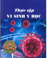 Thực tập vi sinh y học Cao Minh Nga.pdf