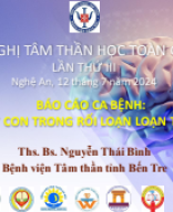 5. Nguyễn Thái Bình copy.pdf