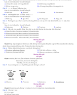 CÂU HỎI TRẮC NGHIỆM PHÂN TỬ SINH HỌC ĐỀ+ HDG.docx