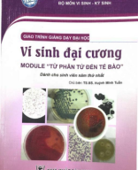 Vi sinh đại cương.pdf