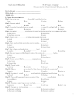 032_TS_10_Vocab_-_Grammar_Test 32 (HS).docx