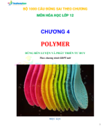 4.1.HS. POLYMER - 100 CÂU ĐÚNG SAI THEO CHƯƠNG.pdf