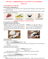 CHỦ ĐỀ 2. CARBOHYDRATE. GLUCOSE VÀ SACCHAROSE (File GV).pdf