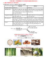 CHỦ ĐỀ 3. TINH BỘT VÀ CELLULOSE (File GV).pdf