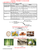 CHỦ ĐỀ 3. TINH BỘT VÀ CELLULOSE (File HS).pdf