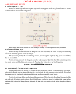 CHỦ ĐỀ 4. PROTEIN (File GV).pdf