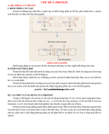 CHỦ ĐỀ 4. PROTEIN (File HS).pdf