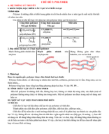 CHỦ ĐỀ 5. POLYMER (File HS).pdf