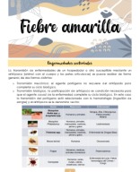 Clase 16- Fiebre amarilla.pdf