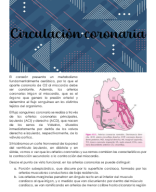 Clase 2-Circulación coronaria.pdf