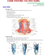 [ĐÌNH NOTE][CHẤN THƯƠNG TAI MŨI HỌNG].docx