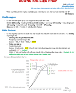 5-[ĐÌNH ĐÌNH][DƯỠNG KHÍ LIỆU PHÁP].pdf