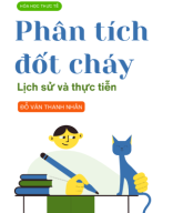 PHAN TICH DOT CHAY_PROTON KI 1.pdf