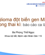 C1.5. Phùng Thế Ngọc_HCM-ADE_th8-2024_Paraganglioma khởi phát trong thai kì.pptx.pdf